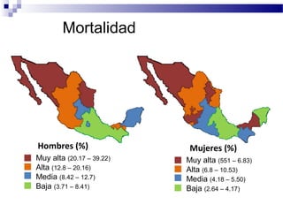 Mortalidad
Muy alta (20.17 – 39.22)
Alta (12.8 – 20.16)
Media (8.42 – 12.7)
Baja (3.71 – 8.41)
Hombres (%)
Muy alta (551 – 6.83)
Alta (6.8 – 10.53)
Media (4.18 – 5.50)
Baja (2.64 – 4.17)
Mujeres (%)
Ruíz-Godoy L, et al. Lung Cancer (2007) 58, 184-190.
 