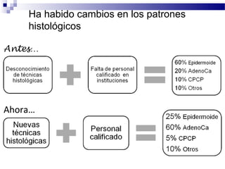 Ha habido cambios en los patrones
histológicos
Antes…
Ahora…
Rev Inst Nal Enf Resp Mex 2002; 15:3:149-52, INER 2008, INCan 2007, : INEGI 2006.
 