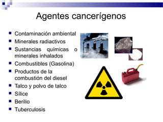 Agentes cancerígenos
 Contaminación ambiental
 Minerales radiactivos
 Sustancias químicas o
minerales inhalados
 Combustibles (Gasolina)
 Productos de la
combustión del diesel
 Talco y polvo de talco
 Sílice
 Berilio
 Tuberculosis
National Cancer Institute 2009
 
