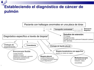 Estableciendo el diagnóstico de cáncer de
pulmón
Paciente con hallazgos anormales en una placa de tórax
Diagnóstico específico a través de biopsia*
Tomografía contrastada*
Invasión a grandes vasos
Resonancia
Magnética
*La tomografía no es sustituto de información histológica y a todos los pacientes con sospecha de cáncer se les debe ofrecer confirmación histológica del tumor
**Si el análisis de líquido pleural y las muestras de tejido no son diagnósticas y el líquido es exudativo, se recomienda examen toracoscópico de la superficie
pleural.
Estudios de extensión:
TC Cráneo
Gamagrama óseo
Pruebas de función pulmonar/ Evaluación cardiaca
PET 18F-FDG
Citología de
expectoración
Broncoscopia flexible
-Lavado bronquial
-Cepillado bronquial
-Biopsias por sacabocado, aspiración
transtraqueal o transbronquial)
-Sirve para etapificación
Toracotomía
Biopsia pleural
(cuando la biopsia guiada
o la citología de derrame pleural
no son diagnósticas**)
Citología de líquido pleural
Biopsia transtorácica con aguja fina
(guiada con método de imagen)
Mediastinoscopia
(para etapificación de
mediastino, valorar
resecabilidad)
 
