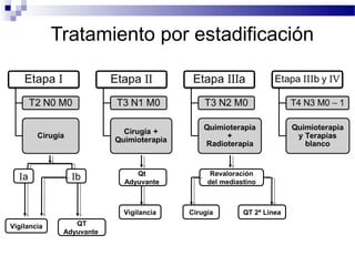 Tratamiento por estadificación
IbIa
QT
Adyuvante
Vigilancia
Qt
Adyuvante
Vigilancia
Revaloración
del mediastino
Cirugía QT 2ª Línea
American Cancer Society 2007
 