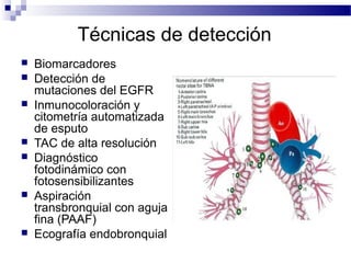 Técnicas de detección
 Biomarcadores
 Detección de
mutaciones del EGFR
 Inmunocoloración y
citometría automatizada
de esputo
 TAC de alta resolución
 Diagnóstico
fotodinámico con
fotosensibilizantes
 Aspiración
transbronquial con aguja
fina (PAAF)
 Ecografía endobronquial
Eur Respir J Suppl. 2003 Jan;39:57s-66s
 