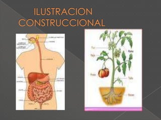 ORGANIZADOR PREVIOInformación de tipo introductoria y contextual.Elaborado con un nivel superior de abstracción, generalidad e inclusividad de la información  que se aprenderá.
