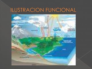 su elaboraciónEn forma de textos en prosa o visuales.En forma de mapas, graficas o “redes ” de conceptos.