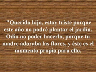 "Querido hijo, estoy triste porque este año no podré plantar el jardín. Odio no poder hacerlo, porque tu madre adoraba las flores, y éste es el momento propio para ello. 