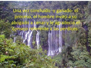 Una vez concluido -y ganado- el proceso, el hombre invitó a su abogado a cenar y le agradeció el consejo referente a las perdices: