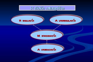 R e x n mtaco
           fle ió e gnitiva

R egulación                A utor egulació
                                 r        n



              M etacognición


              A utoeducación
 