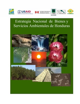 Estrategia Nacional de Bienes y
Servicios Ambientales de Honduras
 