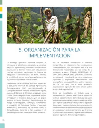 Estrategia agricultura sostenible adaptada al clima para la región del SICA (2018-2030)