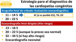 1
Estrategia para el diagnostico de
las cardiopatías congénitas
 11 – 14 S
 20 – 22 S
4C (si es posible GV), TN, DV
Ecografía fetal de cribado: Evaluación ecocardiográfica
Ecocardiografía fetal dirigida (Alto riesgo)
 13 – 16 S
 20 – 22 S (aunque la precoz sea normal)
 32 – 34 S (si hay alto riesgo)
 Ecocardiografía neonatal
 