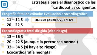 1
Estrategia para el diagnóstico de las
cardiopatías congénitas
 11 – 14 S
 20 – 22 S
4C (si es posible GV), TN, DV
Ecografía fetal de cribado: Evaluación ecocardiográfica
Ecocardiografía fetal dirigida (Alto riesgo)
 13 – 16 S
 20 – 22 S (aunque la precoz sea normal)
 32 – 34 S (si hay alto riesgo)
 Ecocardiografía neonatal
 