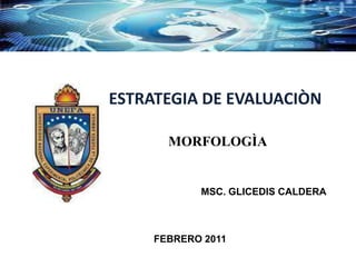 ESTRATEGIA DE EVALUACIÒN

       MORFOLOGÌA


            MSC. GLICEDIS CALDERA



     FEBRERO 2011
 