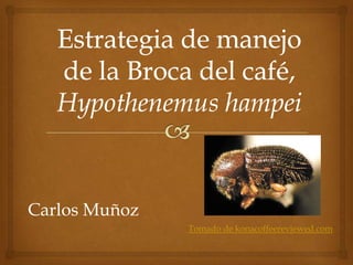 Carlos Muñoz
Tomado de konacoffeereviewed.com

 