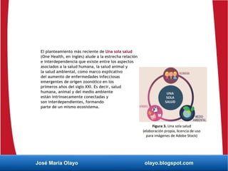 El planteamiento más reciente de Una sola salud
(One Health, en inglés) alude a la estrecha relación
e interdependencia que existe entre los aspectos
asociados a la salud humana, la salud animal y
la salud ambiental, como marco explicativo
del aumento de enfermedades infecciosas
emergentes de origen zoonótico en los
primeros años del siglo XXI. Es decir, salud
humana, animal y del medio ambiente
están intrínsecamente conectadas y
son interdependientes, formando
parte de un mismo ecosistema.
José María Olayo olayo.blogspot.com
 