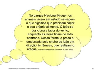No parque Nacional Kruger, os animais vivem em estado selvagem, o que significa que precisam caçar o seu próprio alimento. O leão se posiciona a favor do vento, enquanto as leoas ficam no lado contrário. Dessa forma, a presa é empurrada pelo cheiro do leão em direção às fêmeas, que realizam o ataque.  Revista Geográfica Universal n. 261, 1996. 