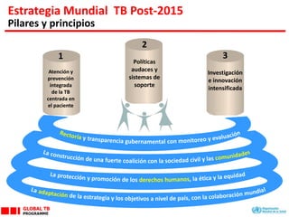 1
Atención y
prevención
integrada
de la TB
centrada en
el paciente
2
Políticas
audaces y
sistemas de
soporte
3
Investigación
e innovación
intensificada
Estrategia Mundial TB Post-2015
Pilares y principios
 
