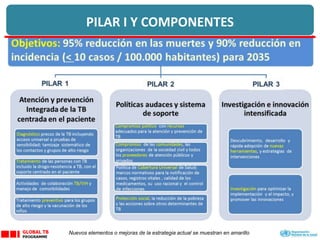 PILAR 1
Nuevos elementos o mejoras de la estrategia actual se muestran en amarillo
PILAR I Y COMPONENTES
 