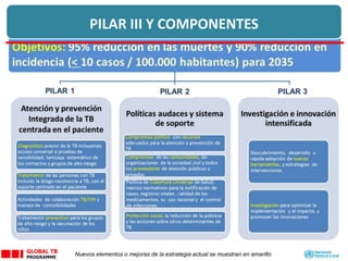 PILAR 3
Nuevos elementos o mejoras de la estrategia actual se muestran en amarillo
PILAR III Y COMPONENTES
 