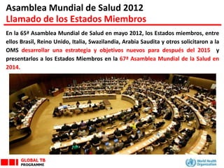 Asamblea Mundial de Salud 2012
Llamado de los Estados Miembros
En la 65ª Asamblea Mundial de Salud en mayo 2012, los Estados miembros, entre
ellos Brasil, Reino Unido, Italia, Swazilandia, Arabia Saudita y otros solicitaron a la
OMS desarrollar una estrategia y objetivos nuevos para después del 2015 y
presentarlos a los Estados Miembros en la 67ª Asamblea Mundial de la Salud en
2014.
 