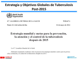 Estrategia y Objetivos Globales de Tuberculosis
Post-2015
 