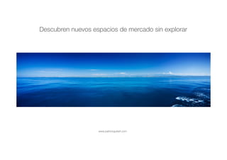 www.patricioguitart.com
Descubren nuevos espacios de mercado sin explorar
 