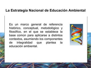 Es  un marco general de referencia histórico, conceptual, metodológico y filosófico, en el que se establece la base común para aplicarse a distintos contextos, asumiendo los componentes de integralidad que plantea la educación ambiental. La Estrategia Nacional de Educación Ambiental 