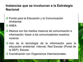 Fondo para la Educación y la Comunicación Ambiental. ANEA Alianza con los medios masivos de comunicación e información;  hacer a los comunicadores nuestros voceros Uso de la tecnología de la información para la educación ambiental. Internet, Red Escolar (Portal de la SEP), Edusat, Coordinación con Organismos Internacionales. Instancias que se involucran a la Estrategia Nacional 