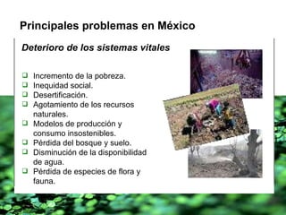 Incremento de la pobreza. Inequidad social. Desertificación. Agotamiento de los recursos naturales. Modelos de producción y consumo insostenibles. Pérdida del bosque y suelo. Disminución de la disponibilidad de agua. Pérdida de especies de flora y fauna. Principales problemas en México Deterioro de los sistemas vitales 