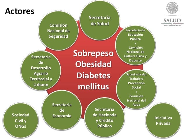 Estrategia nacional contral el sobrepeso, obesidad y Estrategia nacional contral el sobrepeso, obesidad y