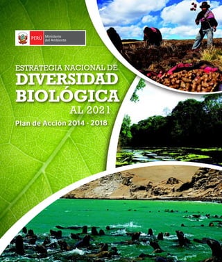 Presentación 1
ESTRATEGIA NACIONAL DE
DIVERSIDAD
AL 2021
Plan de Acción 2014 - 2018
BIOLÓGICA
 