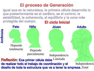 El proceso de GeneraciónIgualque en la naturaleza, la primeracéluladesarrolla lo queposteriormentees el cerébro, es el control, la estabilidad, la coherencia, el equilibrio y la zonamásprotegida del cuerpo.El cicloInicialNiñoFetoJóvenAdultoAmfimixiaDependetotalmenteDependeparcialmenteIndependenciaLimitadaReflexión:Esa primer céluladebede realizartodo el trabajo de coordinación y el diseño de toda la estructuraqueva a tener la empresa..Independencia Total