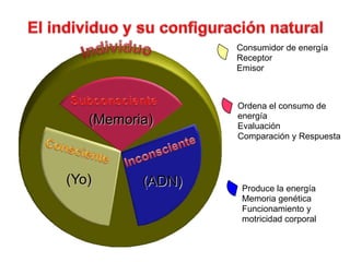 El individuo y suconfiguración naturalConsumidor de energíaReceptorEmisorIndividuoSubconscienteOrdena el consumo de energíaEvaluaciónComparación y Respuesta(Memoria)‏InconscienteConsciente(Yo)‏(ADN)  Produce la energíaMemoriagenéticaFuncionamiento ymotricidad corporal