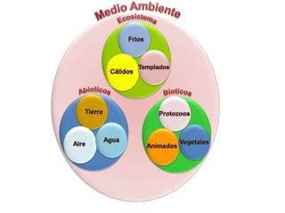 MedioAmbienteEcosistemaAbioticosBioticosFriosTierraProtozoosTempladosAguaVegetalesCálidosAireAnimados
