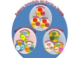 Entornoinmediato del Barrio o VeredaFamiliaMedioAmbienteEcosistemaAbioticosBioticosIndividuo Padre MadreAdministraciónServiciosProducciónComunidadFriosTierraProtozoosSubconscienteSubconscienteSubconscienteEjecuciónDomiciliaresAgricolaTempladosAguaVegetalesInconscienteInconscienteInconscienteControlComercialesIndustrialCálidosAireAnimadosConscienteConscienteConscienteFiscalizaciónIndustrialesArtesanal