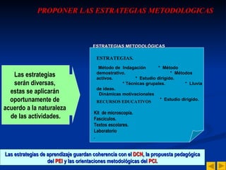ESTRATEGIAS.   Método de  Indagación  *  Método demostrativo.  *  Métodos activos.  *  Estudio dirigido.  * Técnicas grupales.  *  Lluvia de ideas. Dinámicas motivacionales *  Estudio dirigido.  RECURSOS EDUCATIVOS   Kit  de microscopía. Fascículos. Textos escolares. Laboratorio . Las estrategias  serán diversas,  estas se aplicarán  oportunamente de  acuerdo a la naturaleza  de las actividades. Las estrategias de aprendizaje guardan coherencia con el  DCN , la propuesta pedagógica del  PEI  y las orientaciones metodológicas del  PCI . PROPONER LAS ESTRATEGIAS METODOLOGICAS ESTRATEGIAS METODOLÓGICAS 