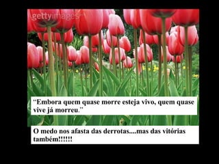 “ Embora quem quase morre esteja vivo, quem quase vive já morreu .” O medo nos afasta das derrotas....mas das vitórias também!!!!!! 