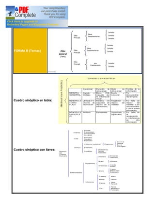 FORMA B (Temas)
,,,,,,,,,
Cuadro sinóptico en tabla:
Cuadro sinóptico con llaves:
 