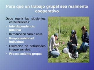 Para que un trabajo grupal sea realmente cooperativo <ul><li>Debe reunir las siguientes características:  </li></ul><ul><l...