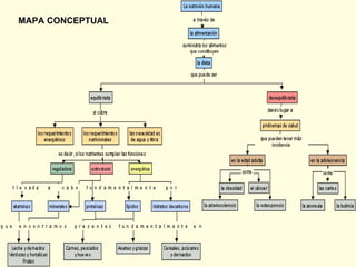 MAPA CONCEPTUAL 