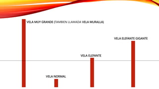 VELA MUY GRANDE (TAMBIEN LLAMADA VELA MURALLA)
VELA NORMAL
VELA ELEFANTE GIGANTE
VELA ELEFANTE
 