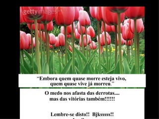 “ Embora quem quase morre esteja vivo,  quem quase vive já morreu .” O medo nos afasta das derrotas.... mas das vitórias também!!!!!! Lembre-se disto!!  Bjksssss!! Lucilene 