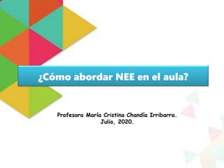 ¿Cómo abordar NEE en el aula?
Profesora María Cristina Chandía Irribarra.
Julio, 2020.
 
