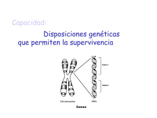 Capacidad: Disposiciones genéticas que permiten la supervivencia 