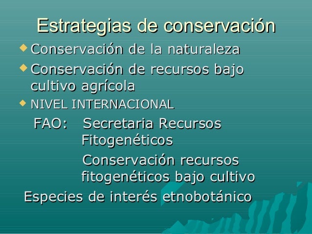 Distribución por negocio