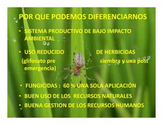 Estrategias competitividad desarrollo_sustentable