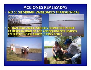 Estrategias competitividad desarrollo_sustentable