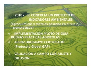 Estrategias competitividad desarrollo_sustentable