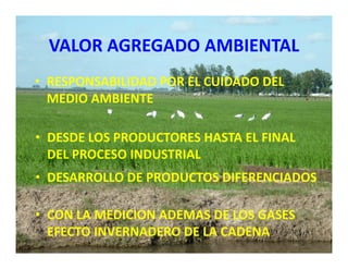 Estrategias competitividad desarrollo_sustentable