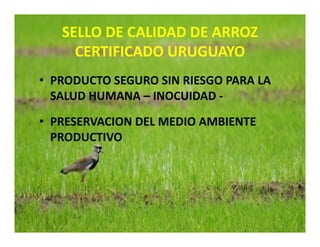 Estrategias competitividad desarrollo_sustentable