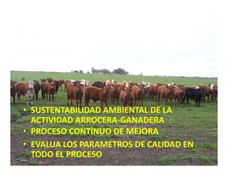 Estrategias competitividad desarrollo_sustentable